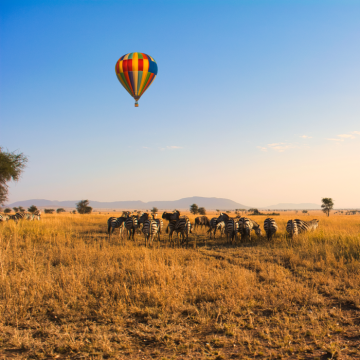 Reisen, die f&uuml;r immer beiben!